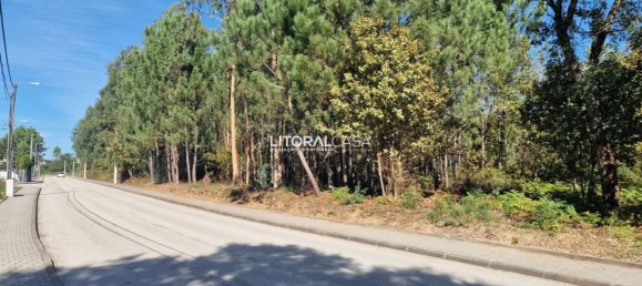 Terreno em Oliveira de Azeméis, Portugal 5667 m² N.º 67220 4