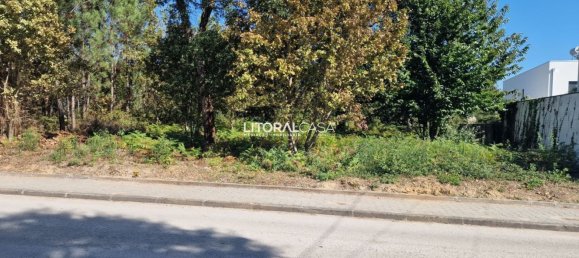 Terreno em Oliveira de Azeméis, Portugal 5667 m² N.º 67220 5