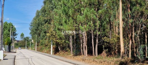 Terreno em Oliveira de Azeméis, Portugal 5667 m² N.º 67220 6