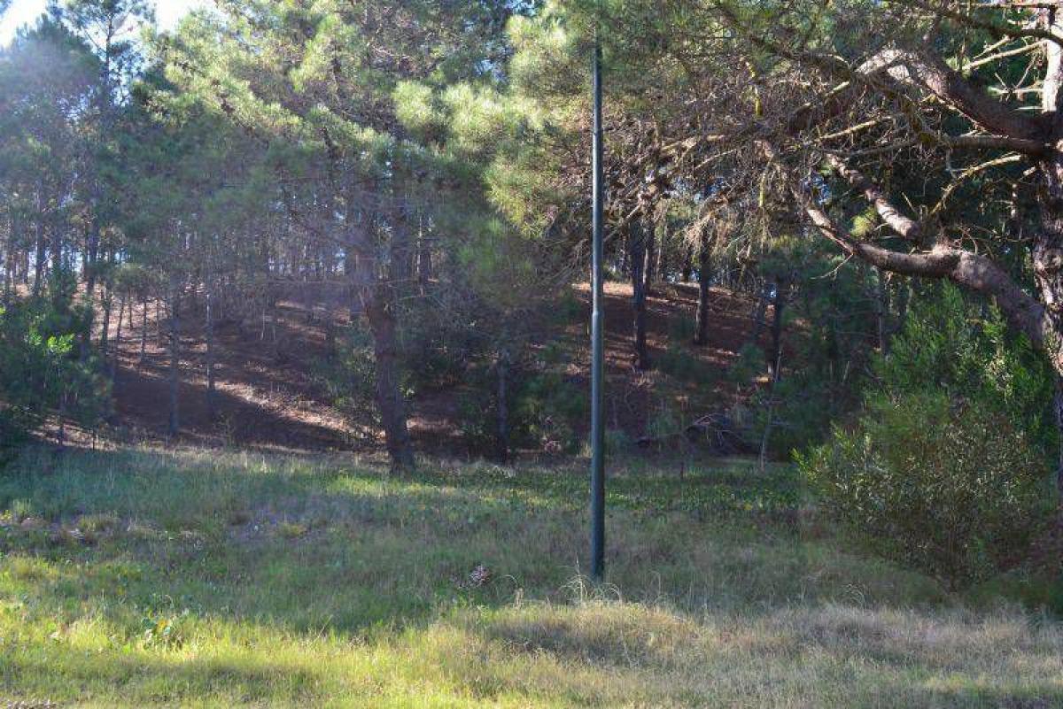 Grundstück in Mar del Plata, Argentina, Nr. 113636