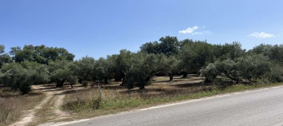 Hotel in Zakynthos, Greece, Nr. 8541 6