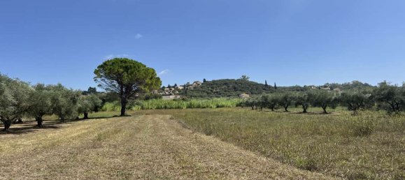 Hotel in Zakynthos, Greece, Nr. 8541 5