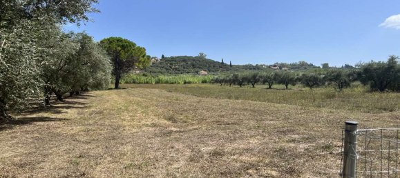 Hotel in Zakynthos, Greece, Nr. 8541 14