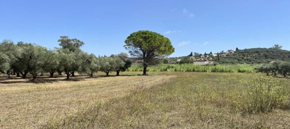 Hotel in Zakynthos, Greece, Nr. 8541 2