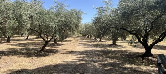 Hotel in Zakynthos, Greece, Nr. 8541 3