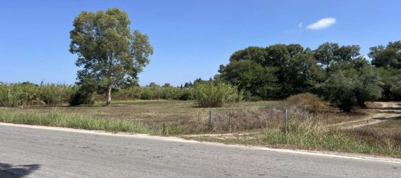 Hotel in Zakynthos, Greece, Nr. 8541 23