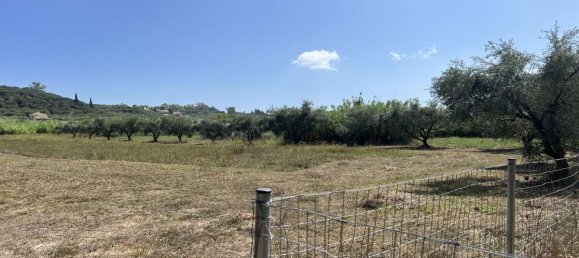 Hotel in Zakynthos, Greece, Nr. 8541 12