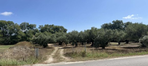 Hotel in Zakynthos, Greece, Nr. 8541 7