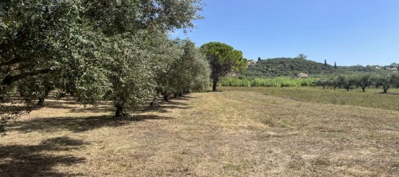 Hotel in Zakynthos, Greece, Nr. 8541 17