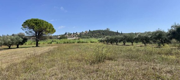 Hotel in Zakynthos, Greece, Nr. 8541 21