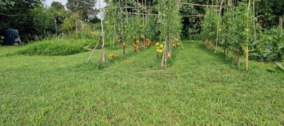 4غرفة فيلا في Corte de' Frati, Italy رقم 334525 18