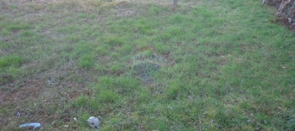 2 bedrooms House in Viseu, Portugal No. 187828 15