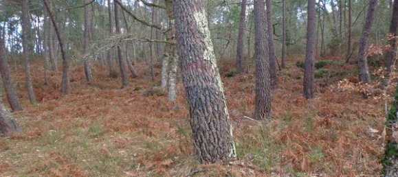 2 bedrooms House in Viseu, Portugal No. 187828 12