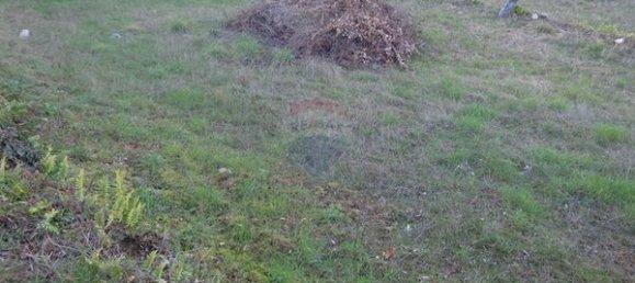 2 bedrooms House in Viseu, Portugal No. 187828 10