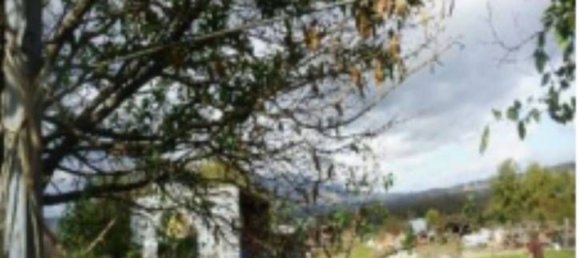 39m² Commercial property in Atella, Italy No. 376092 5