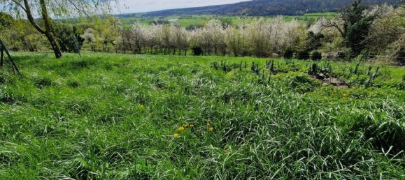 Casa T2 em Laferte-sur-Amance, France N.º 75949 17