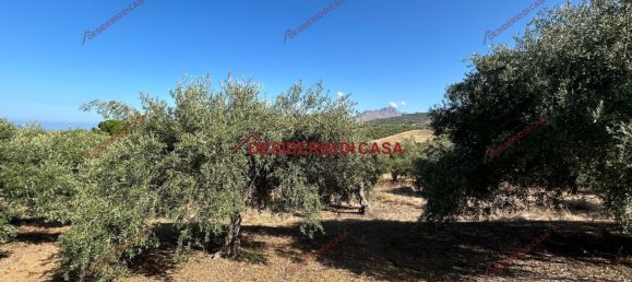  Land in Bagheria, Italy No. 351487 12