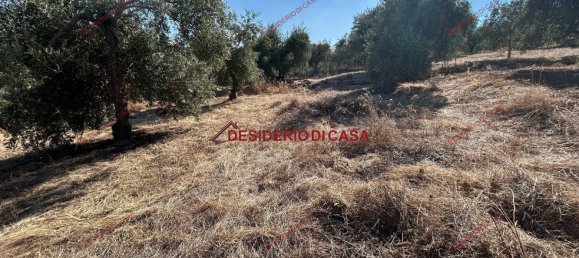  Land in Bagheria, Italy No. 351487 9