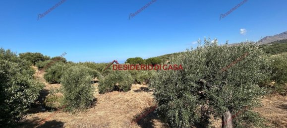  Land in Bagheria, Italy No. 351487 11