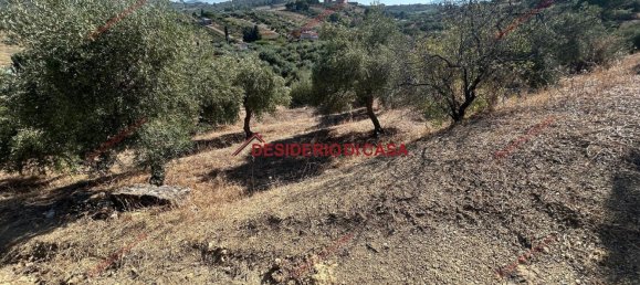  Land in Bagheria, Italy No. 351487 18