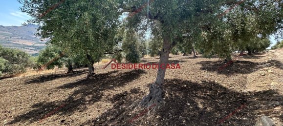  Land in Bagheria, Italy No. 351487 2