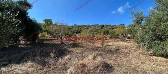  Land in Bagheria, Italy No. 351487 4