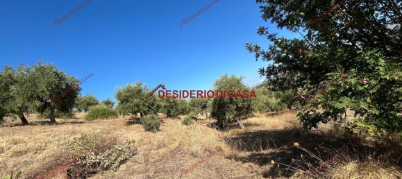  Land in Bagheria, Italy No. 351487 16