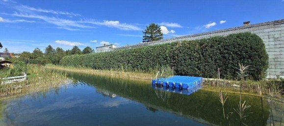 3-Zimmer Stadthaus in Bockfließ, Austria, Nr. 228705 5
