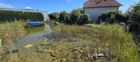 3-Zimmer Stadthaus in Bockfließ, Austria, Nr. 228705 7