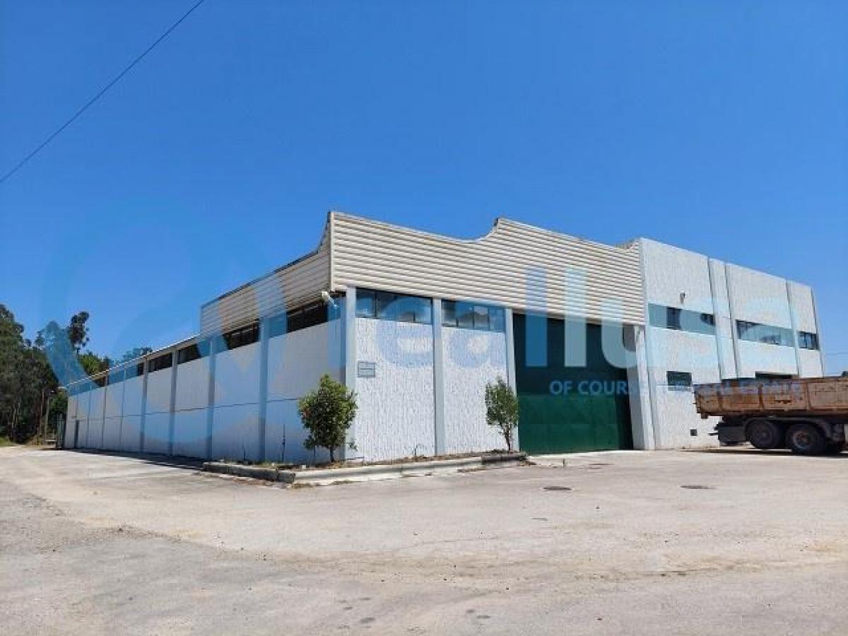 1571m² Factory in Aveiro, Portugal No. 1950