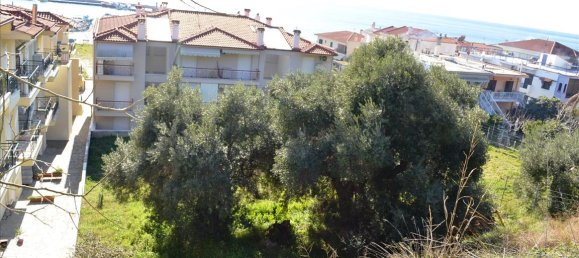 Hotel en Chalkidiki, Greece 630 m² No. 7371 6