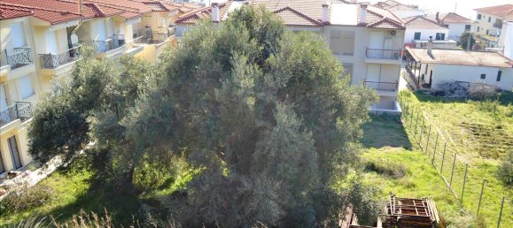 Hotel en Chalkidiki, Greece 630 m² No. 7371 4