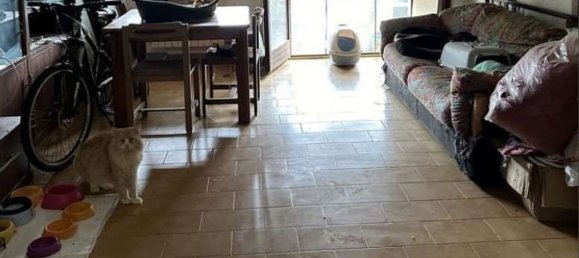 6 rooms Apartment in Cesano Maderno, Italy No. 6422 2