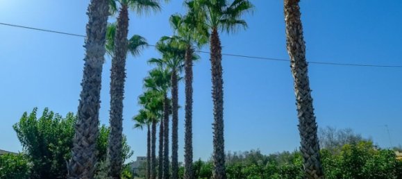 8 rooms Villa in Sannicola, Italy No. 231384 19