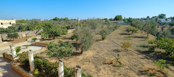 8 rooms Villa in Sannicola, Italy No. 231384 27