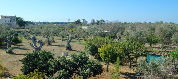 8 rooms Villa in Sannicola, Italy No. 231384 28