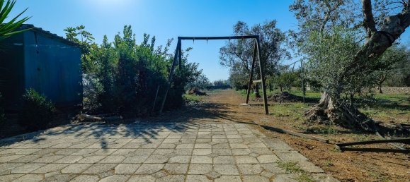 8 rooms Villa in Sannicola, Italy No. 231384 2