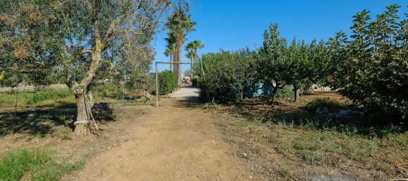 8 rooms Villa in Sannicola, Italy No. 231384 8