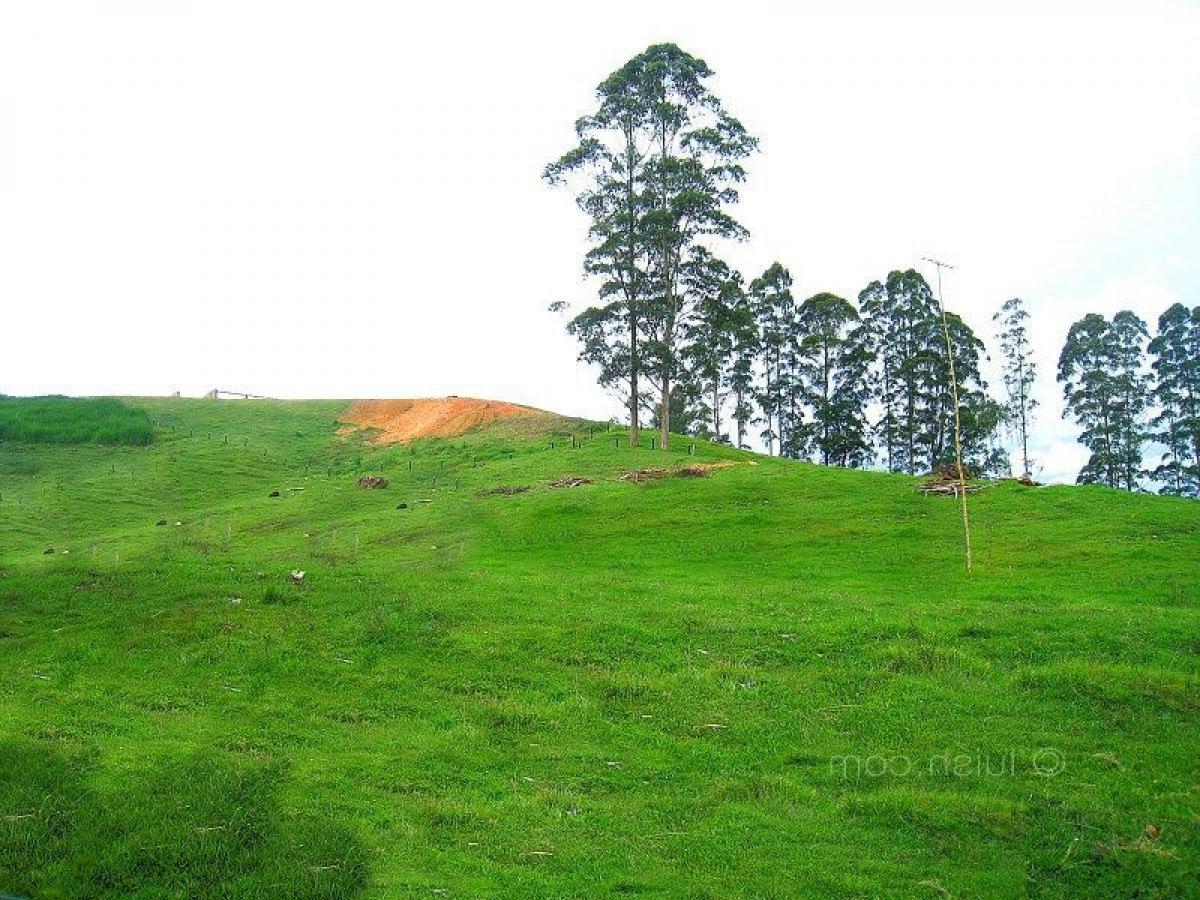  Land in Antioquia, Colombia No. 648