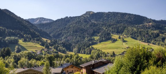 5 bedrooms Apartment in Megeve, France No. 363244 10