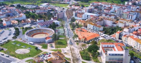 Grundstück in Cartaxo, Portugal 25720m², Nr. 101413 5