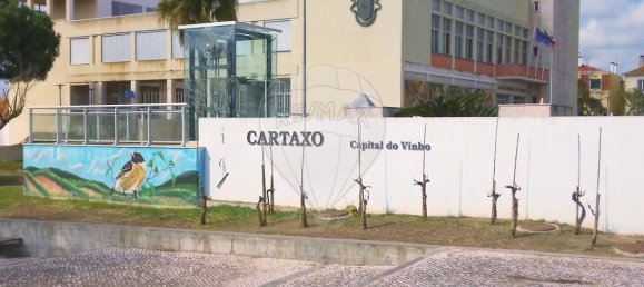 Grundstück in Cartaxo, Portugal 25720m², Nr. 101413 4