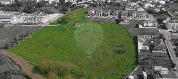 Grundstück in Cartaxo, Portugal 25720m², Nr. 101413 3