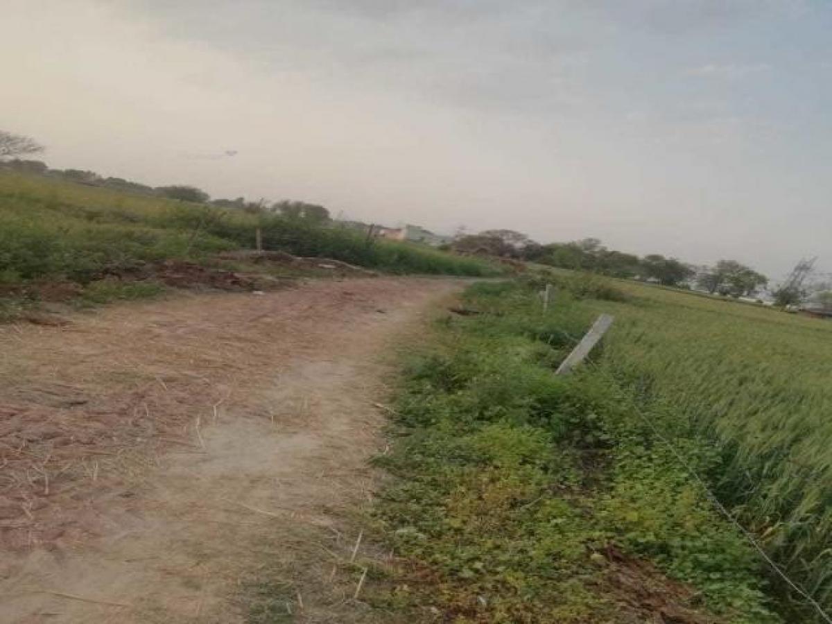  Land in Noida, India No. 66150