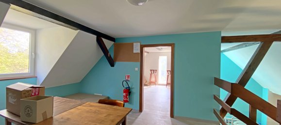 350m² Commercial property in Muttersholtz, France No. 255835 9