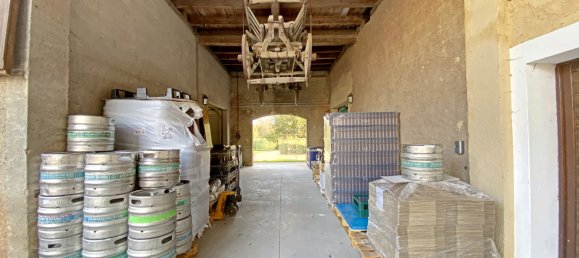 350m² Commercial property in Muttersholtz, France No. 255835 15