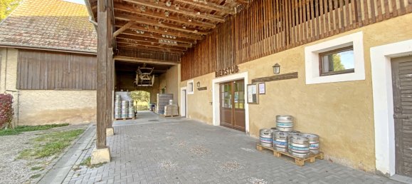 350m² Commercial property in Muttersholtz, France No. 255835 17