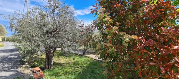 6 rooms Villa in Arnasco, Italy No. 92989 50