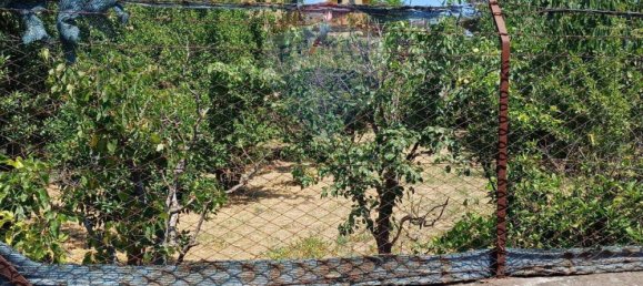 Grundstück in Aci Sant'Antonio, Italy 1124m², Nr. 279759 4