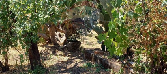 Grundstück in Aci Sant'Antonio, Italy 1124m², Nr. 279759 8